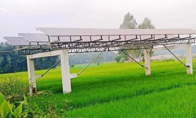 সৌরবিদ্যুতের মাধ্যমে সেচের ফলে এক মৌসুমে সাশ্রয় ৭৫ লাখ লিটার ডিজেল