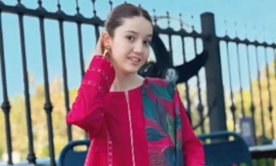 ১৭ বছরের জনপ্রিয় টিকটকারকে গুলি করে হত্যা