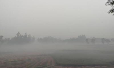 শীত বাড়ছে, তাপমাত্রা নামল ১২ ডিগ্রিতে