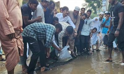 ভাঙা সড়কে জমে থাকা পানিতে মাছের পোনা ছেড়ে হাসনাতের প্রতিবাদ