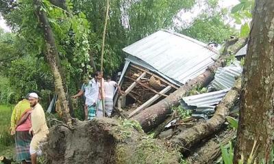 কালবৈশাখীর তাণ্ডবে  মা ও দুই মেয়ের মৃত্যু