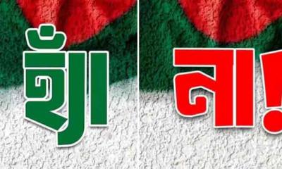 গণভোটে হ্যাঁ কিংবা না জিতলে যা হবে