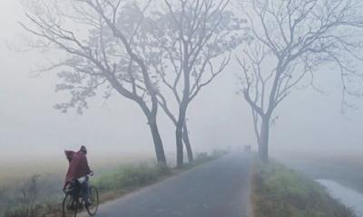 কবে থেকে শীত নামবে, জানালেন আবহাওয়াবিদরা