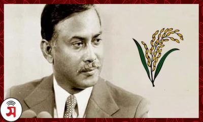 শহীদ রাষ্ট্রপতি জিয়াউর রহমান বিএনপির প্রতীক হিসেবে ‍‍`ধানের শীষ‍‍` কেন নির্বাচন করেছিলেন 