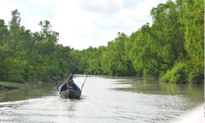 দারভাঙ্গা খাল: দক্ষিণের নিভৃত জলরাজ্যের গল্প