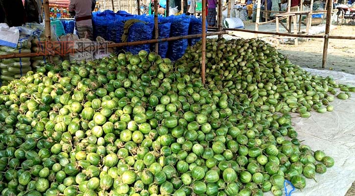 বস্তা হিসেবে বিক্রি হচ্ছে বেগুন, দাম ৮০ টাকা