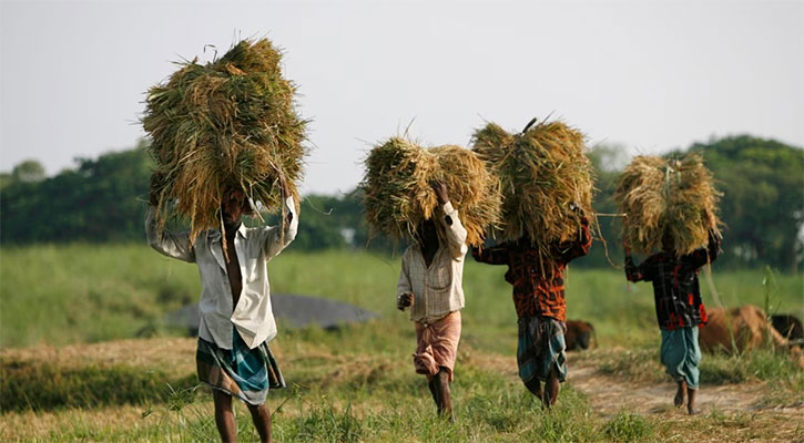 কৃষিখাতে জনশক্তি কমেছে