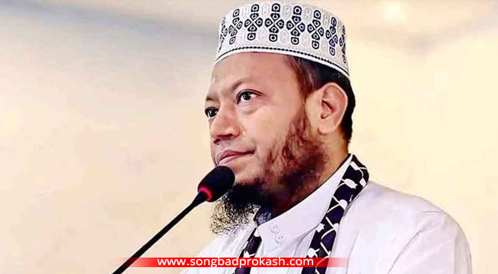 ৯ দিন পর ইনশাআল্লাহ বাংলাদেশের প্রধানমন্ত্রী ডা. শফিকুর রহমান: আমির হামজা