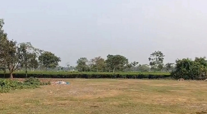১২ জনকে পুশইনের চেষ্টা রুখে দিল বিজিবি