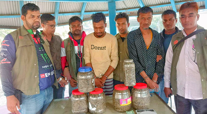 গাঁজাসহ বাবা-ছেলে আটক