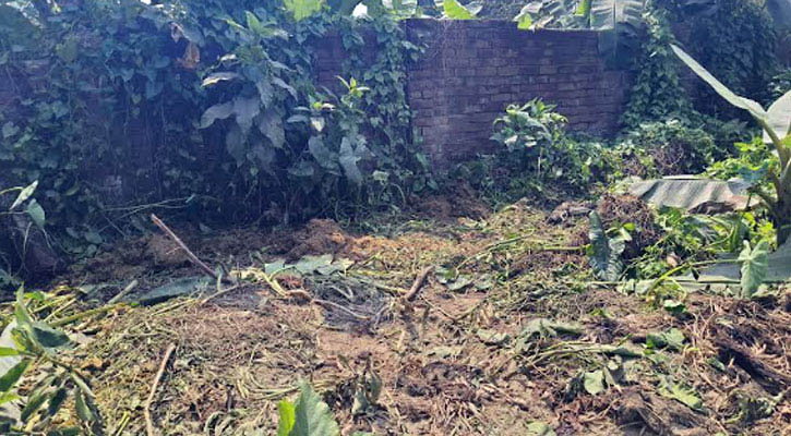 রাতে তিনটি গরু জবাই করে মাংস নিয়ে গেল চোর