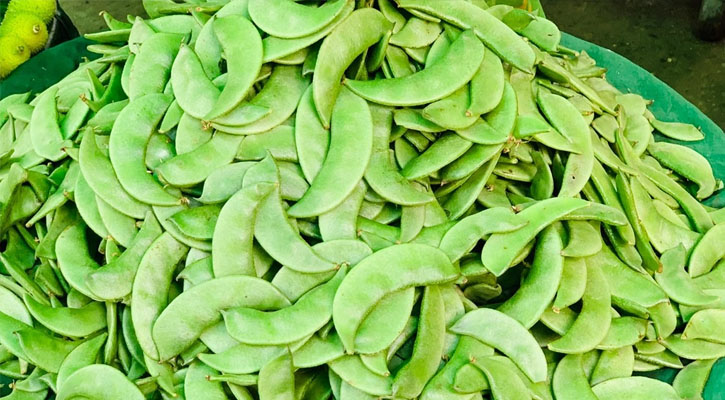 পাওয়া যাচ্ছে আগাম শিম