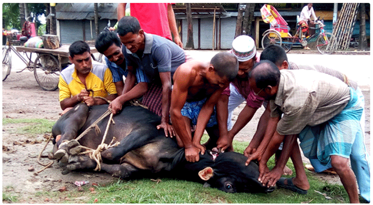 পাড়া-মহল্লায় চলছে পশু কোরবানি