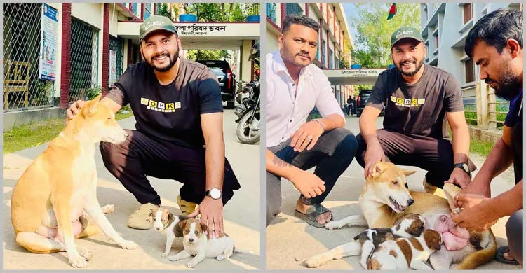 নতুন দুই ছানা পেল সন্তানহারা সেই মা কুকুর