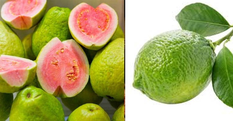 পেয়ারা না লেবু-কোনটি বেশি উপকারী?