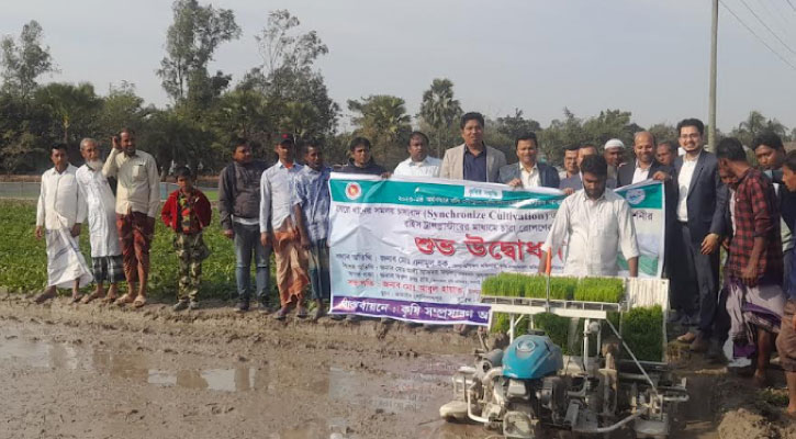 যন্ত্রের ব্যবহারে চলছে সমলয় পদ্ধতিতে চাষাবাদ