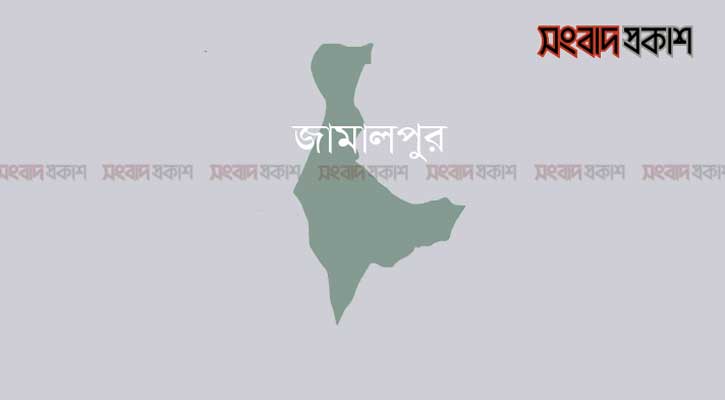 গাছ থেকে পড়ে শ্রমিকের মৃত্যু