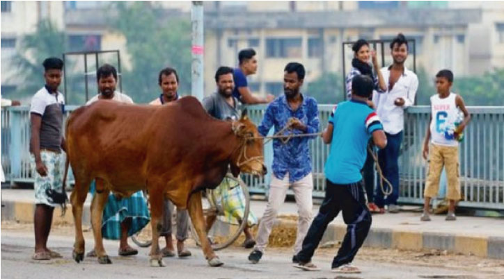 কোরবানি যাদের ওপর ওয়াজিব