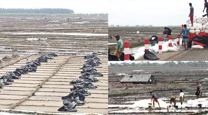 কালবৈশাখীতে লবণের মাঠ তছনছ