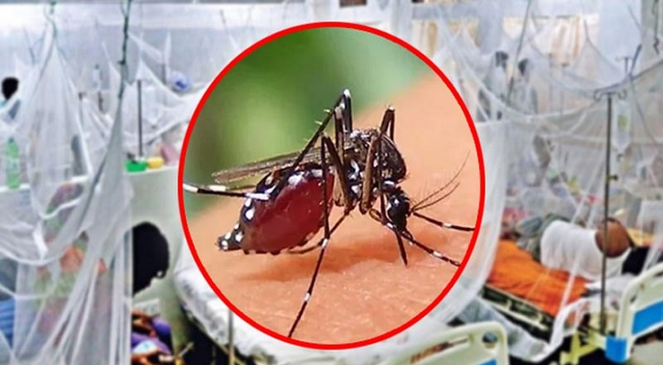 চলতি বছরে ৫ হাজার ছাড়াল ডেঙ্গু রোগী, মৃত্যু ১০