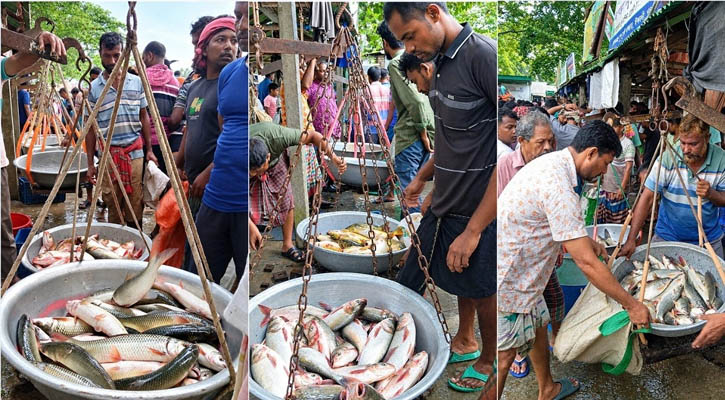 জমে ওঠে মুলাডুলি মাছের আড়ত