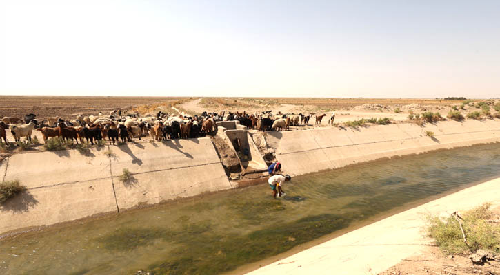 মধ্যপ্রাচ্যের যুদ্ধে পানির নতুন শঙ্কা