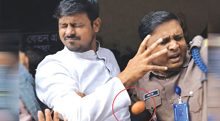 নাসীরুদ্দীন পাটওয়ারীর ওপর ফের ডিম নিক্ষেপ