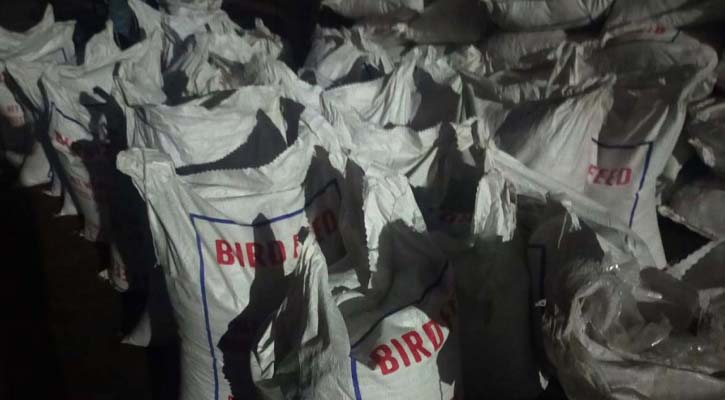 চট্টগ্রাম বন্দরে পাখির খাবার বলে পাকিস্তান থেকে আনা হলো নিষিদ্ধ পপি বীজ