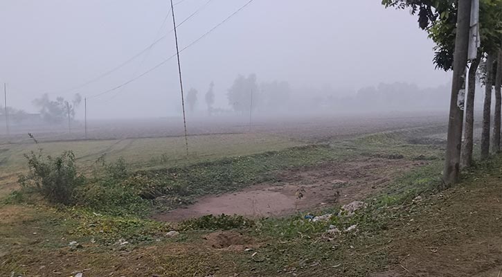 আগামী ৫ দিন শীতের তীব্রতা কেমন থাকবে, জানাল আবহাওয়া অফিস