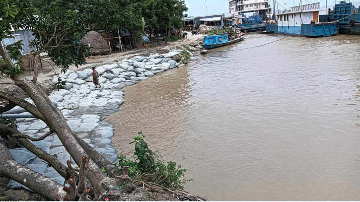 ভাঙন ঝুঁকিতে দৌলতদিয়া ফেরিঘাটসহ আশপাশের তিন গ্রাম