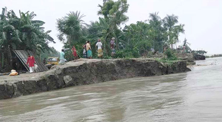 যমুনায় পানি বাড়ায় সিরাজগঞ্জে ভাঙন 