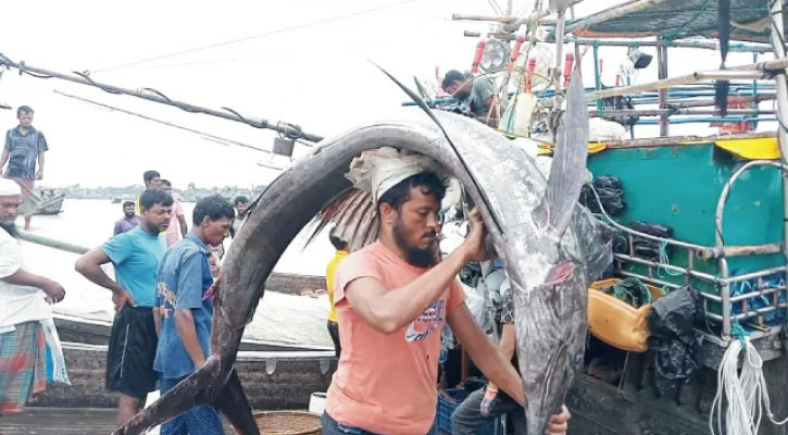 কুয়াকাটায় ধরা পড়ল ৩টি পাখি মাছ