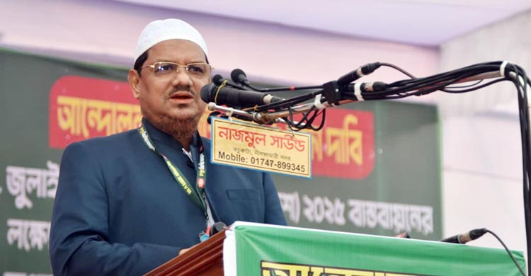 ক্ষমতালোভীরা শুধু পাগল নয়, ডাবল পাগল হয়ে গেছে: চরমোনাই পীর