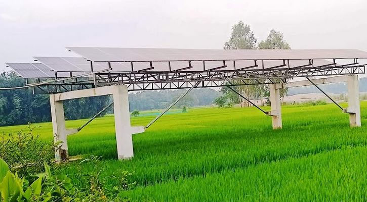 সৌরবিদ্যুতের মাধ্যমে সেচের ফলে এক মৌসুমে সাশ্রয় ৭৫ লাখ লিটার ডিজেল