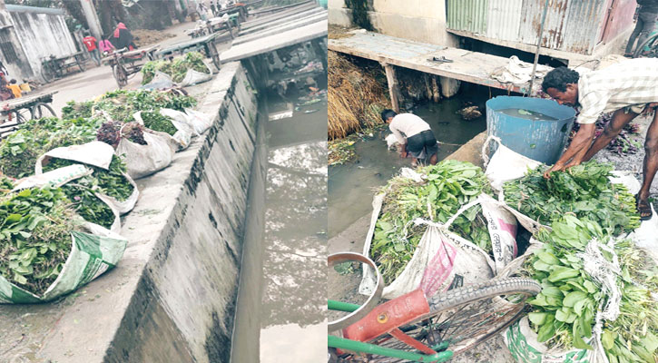 রাসায়নিক দূষিত পানিতে ধোয়া শাকসবজি যাচ্ছে হাটে বাজারে