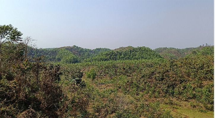 পর্যটনে নতুন দুয়ার খুলে দিতে পারে দাওধারা