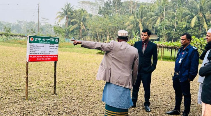 বিষ প্রয়োগ করে শতাধিক পাখি হত্যা