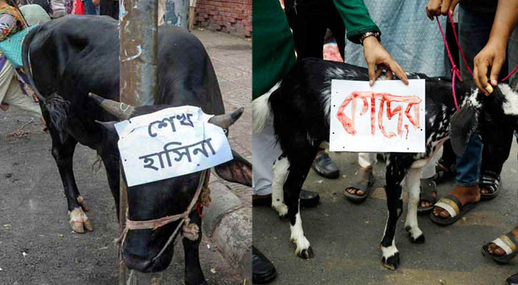 শাহবাগে আ.লীগ নেতাদের নামে গরু-ছাগল জবাই