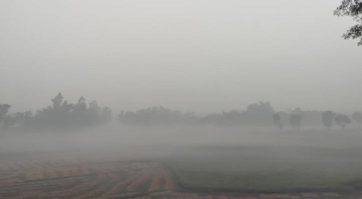 শীত বাড়ছে, তাপমাত্রা নামল ১২ ডিগ্রিতে