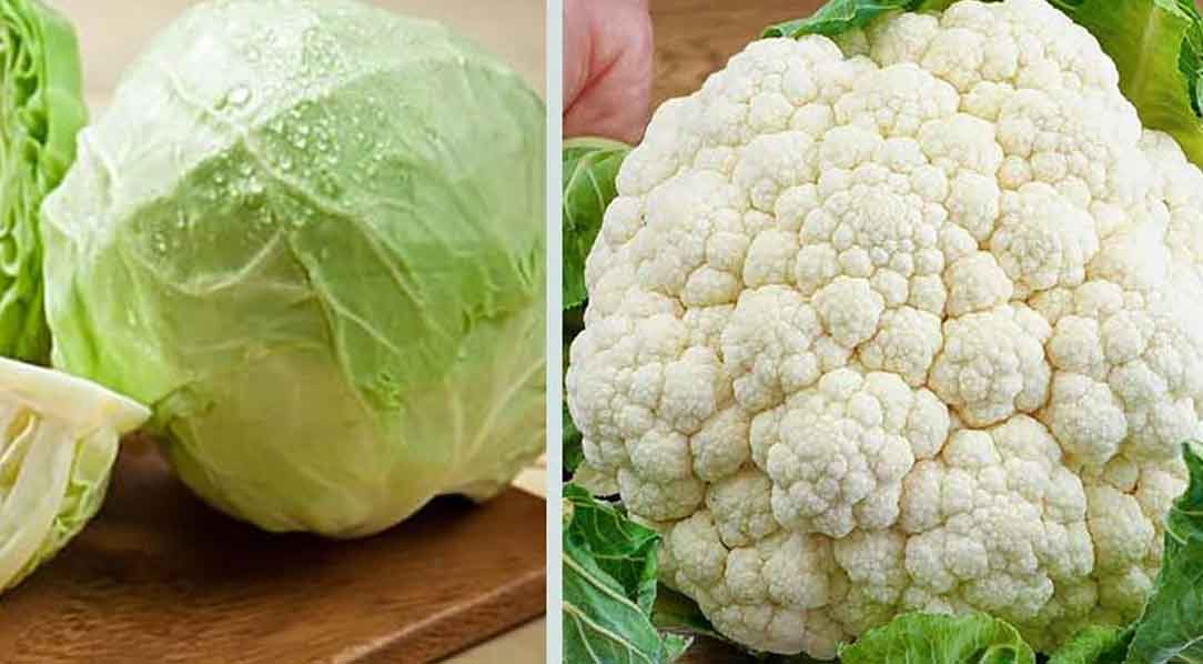 বাঁধাকপি-ফুলকপি কি থাইরয়েডের জন্য সত্যিই ক্ষতিকর