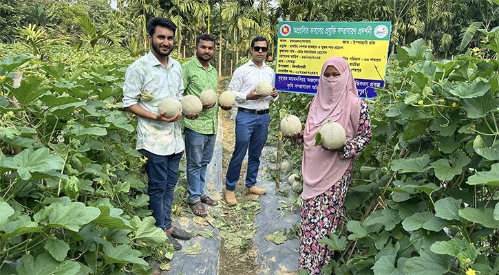 চাকরি ছেড়ে সুইট মেলন চাষ, এখন আয় লাখ টাকা