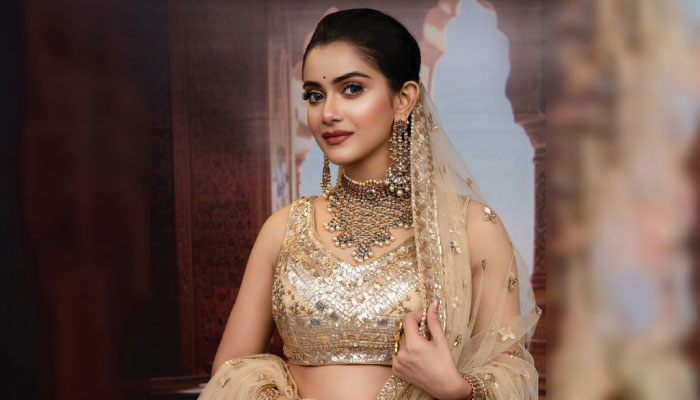তিশার বিরুদ্ধে গুরুতর অভিযোগ, যা বললেন অভিনেত্রী