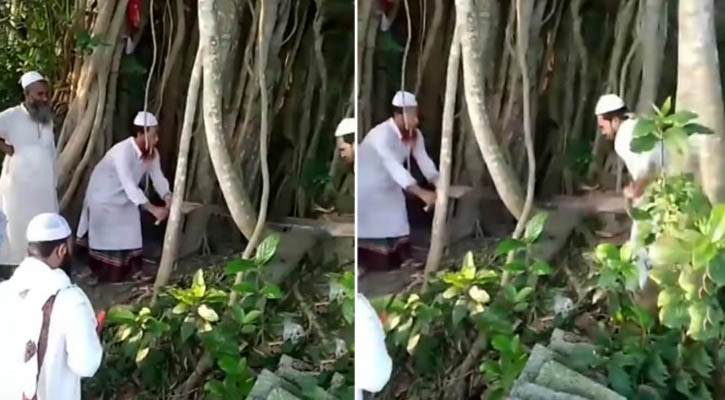 ‘শিরক’ তকমা দিয়ে কাটা হলো ২০০ বছরের প্রাচীন বটগাছ