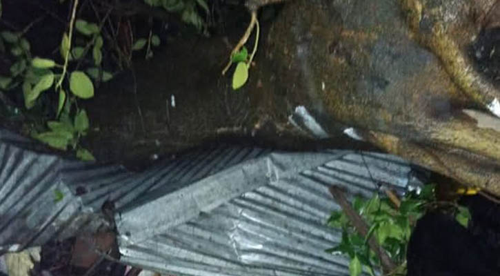 ঝড়ে গাছে নিচে চাপা পড়ে প্রাণ গেল নারীর