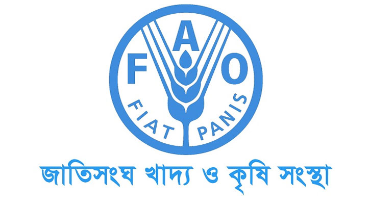 ঢাকায় চাকরি দিচ্ছে জাতিসংঘ, আবেদন শেষ ৫ ডিসেম্বর