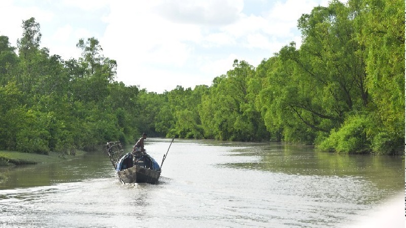 দারভাঙ্গা খাল: দক্ষিণের নিভৃত জলরাজ্যের গল্প