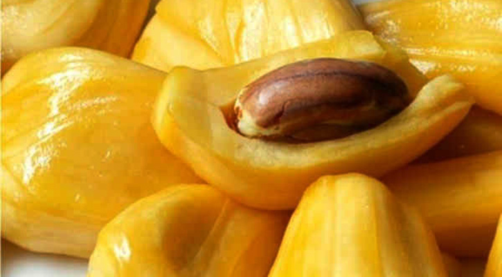 কাঁঠাল বীজের উপকারিতা