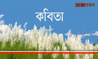 সে কি কেবলই ছবি