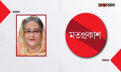 শেখ ফজিলাতুন্নেছা, আমার মা