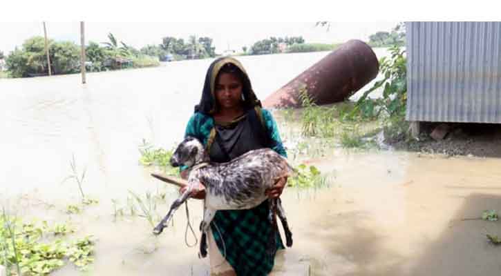 নতুন নতুন এলাকা প্লাবিত
